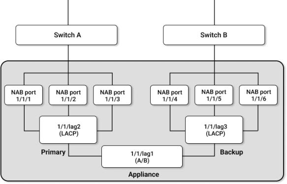 LACP LAGs in Active/Backup Pairing